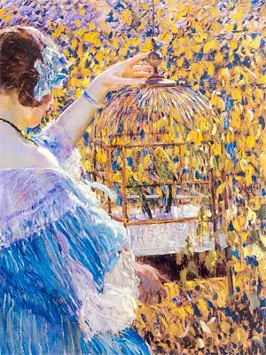 强制爱清冷律师失败后，我竟是他白月光姜闻曦时阔免费小说全集_免费小说在哪看强制爱清冷律师失败后，我竟是他白月光(姜闻曦时阔)